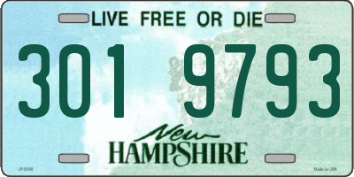 NH license plate 3019793