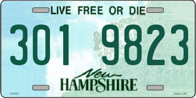 NH license plate 3019823