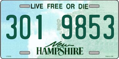 NH license plate 3019853
