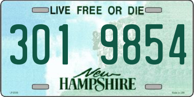 NH license plate 3019854