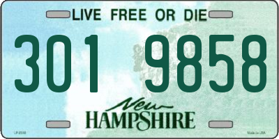NH license plate 3019858