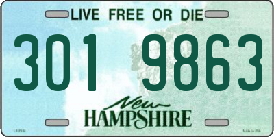 NH license plate 3019863
