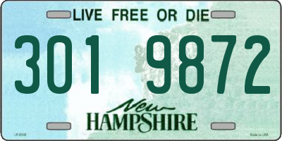 NH license plate 3019872