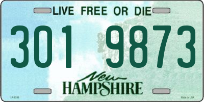 NH license plate 3019873