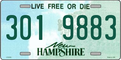 NH license plate 3019883