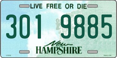 NH license plate 3019885