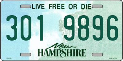 NH license plate 3019896