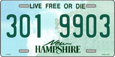 NH license plate 3019903