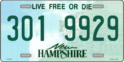 NH license plate 3019929
