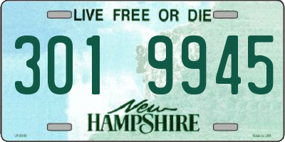 NH license plate 3019945