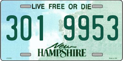 NH license plate 3019953
