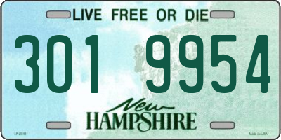 NH license plate 3019954