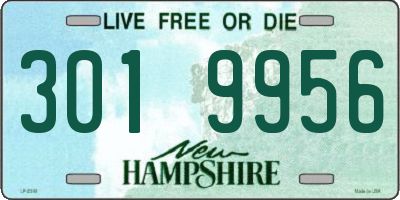 NH license plate 3019956