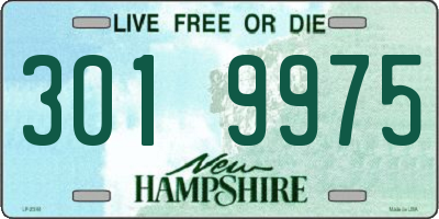 NH license plate 3019975