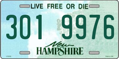 NH license plate 3019976