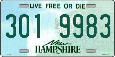 NH license plate 3019983
