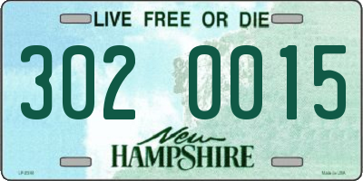 NH license plate 3020015