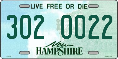 NH license plate 3020022