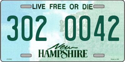 NH license plate 3020042