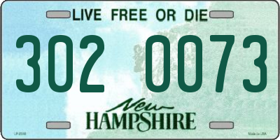NH license plate 3020073