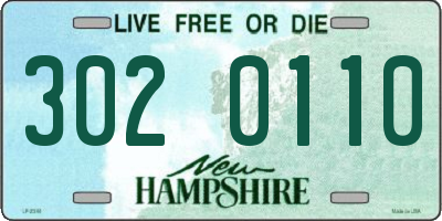 NH license plate 3020110