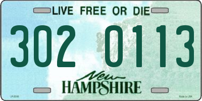 NH license plate 3020113