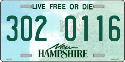 NH license plate 3020116