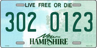 NH license plate 3020123