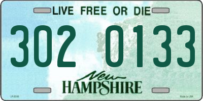 NH license plate 3020133