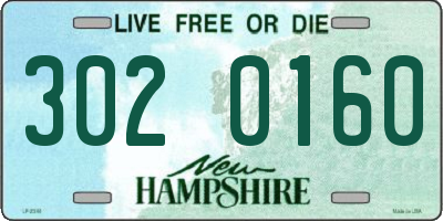 NH license plate 3020160