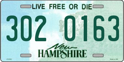NH license plate 3020163