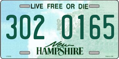 NH license plate 3020165