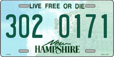 NH license plate 3020171