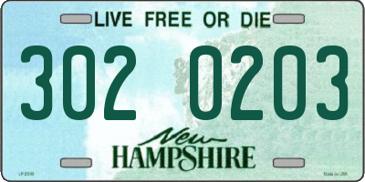 NH license plate 3020203