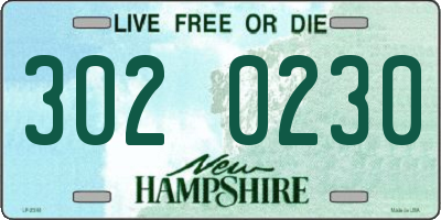 NH license plate 3020230