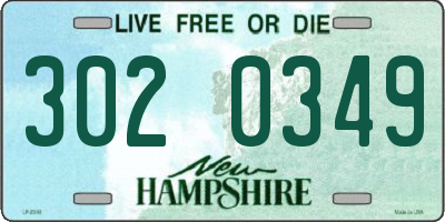 NH license plate 3020349
