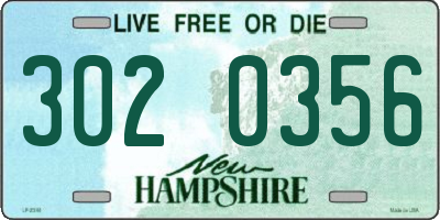 NH license plate 3020356