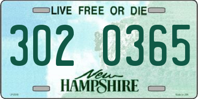 NH license plate 3020365