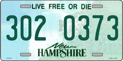 NH license plate 3020373