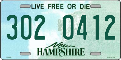 NH license plate 3020412