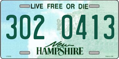 NH license plate 3020413
