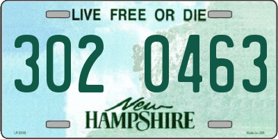 NH license plate 3020463