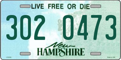 NH license plate 3020473