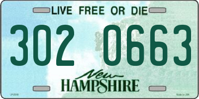 NH license plate 3020663
