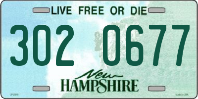NH license plate 3020677