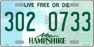NH license plate 3020733