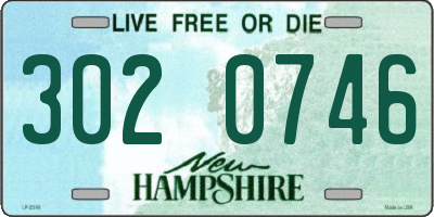 NH license plate 3020746