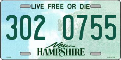 NH license plate 3020755
