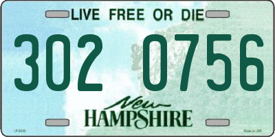 NH license plate 3020756