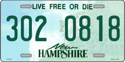NH license plate 3020818
